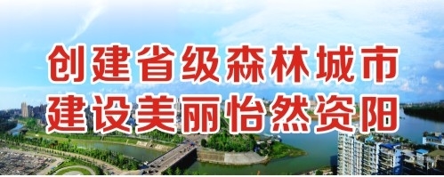 欧洲威尼斯喷水高潮呃呃创建省级森林城市 建设美丽怡然资阳